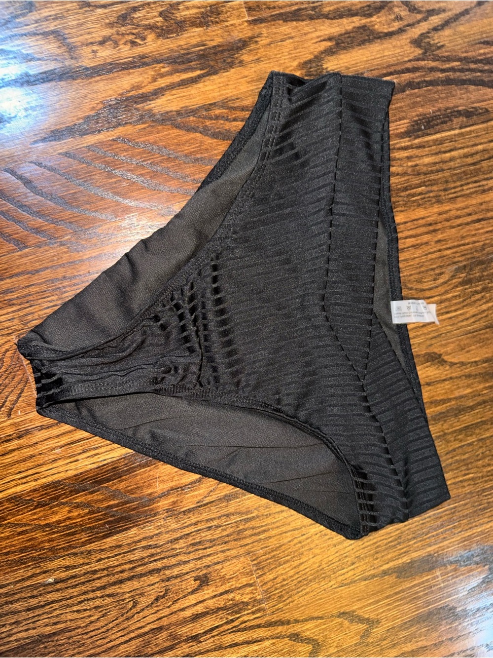 Black Sheer Stripe Bikini Bottom